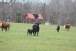 resIMG_20120225_0188.JPG